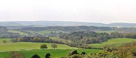 Surrey Surrey